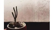 门窗玻璃为什么会结露？怎么处理？