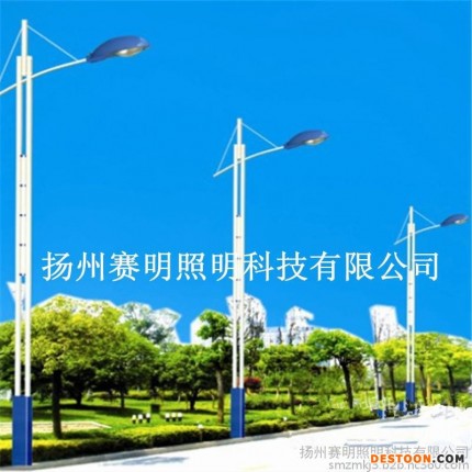 路灯 LED路灯 路灯杆 道路照明灯 6米 8米 9米 10米 Q235材质