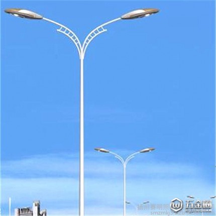 路灯 LED路灯 路灯杆 道路照明灯 6米 8米 10米 12米 Q235材质