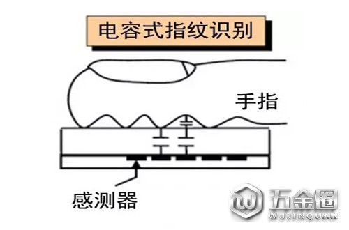 电容式指纹识别