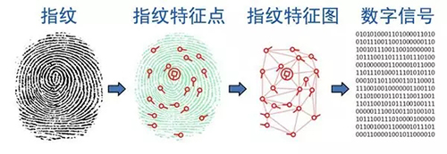 指纹识别原理