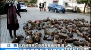 江西破获迄今最大贩卖野生动物案 多名公职人员涉案