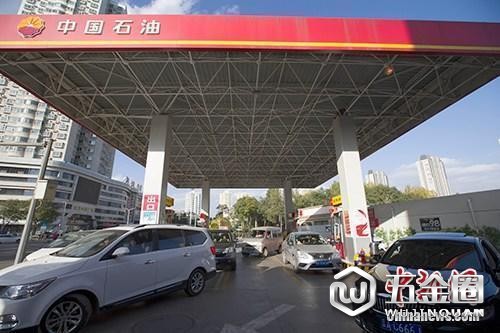 资料图:车辆正在加油站加油。中新社记者 张云 摄