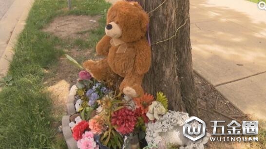 章莹颖失踪后，许多人在她失踪前出现的公交车站放鲜花和熊仔。（图源：美国中文网）