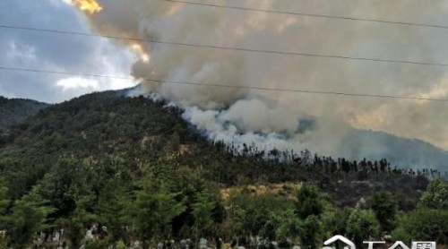 云南大理苍山林区发生森林火灾 730人正全力扑救