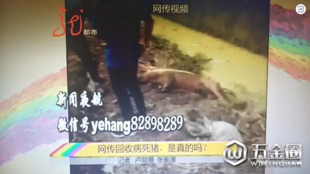 QQ截图20180822082903