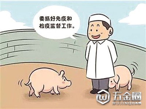 猪肉