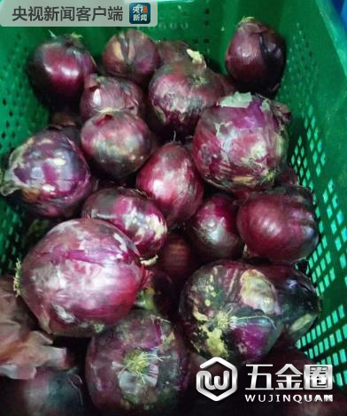 中芯学校食物过期