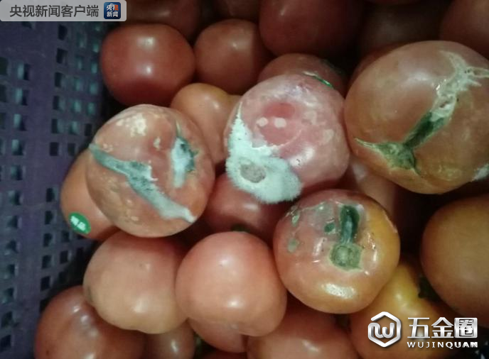 中芯学校食物过期