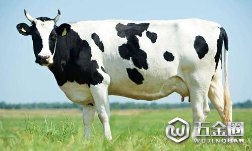 乳业风口