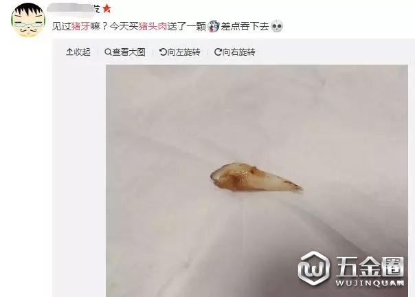 吃猪头肉竟吐出3厘米长猪牙
