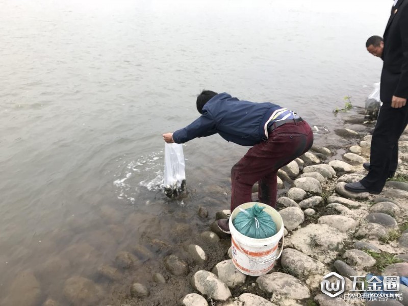 放流现场