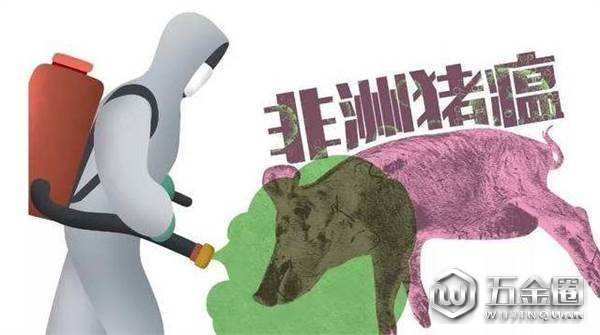 非洲猪瘟
