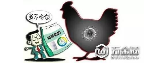 H7N9禽流感