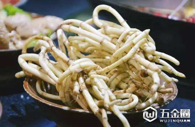 折耳根