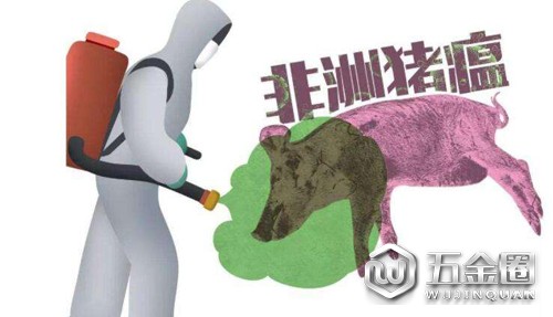 非洲猪瘟疫情可控