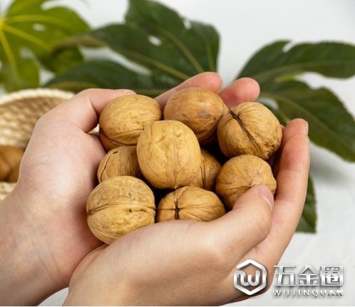 核桃