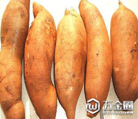 红薯马铃薯