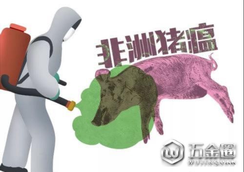 非洲猪瘟防控