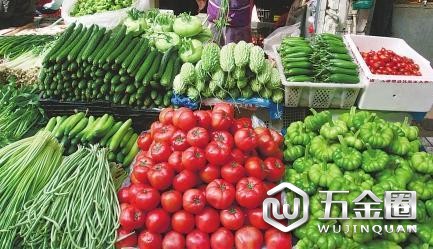 蔬菜批发
