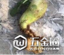 QQ截图20181116094707