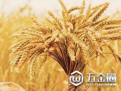 《粮食安全保障法》起草领导小组 召开第一次会议