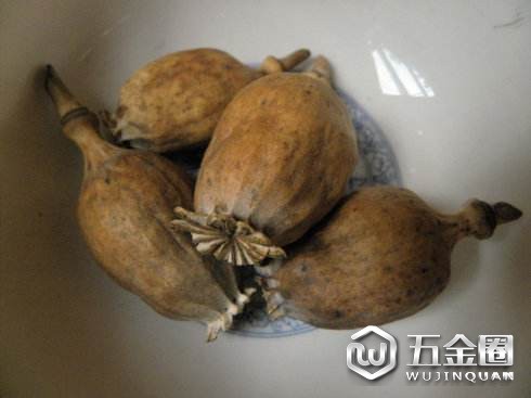罂粟壳为毒品