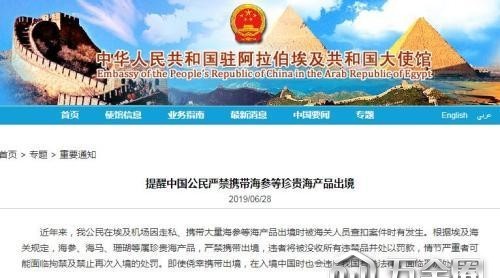 出境埃及海参等海产品不能带 中使馆吁遵守法律