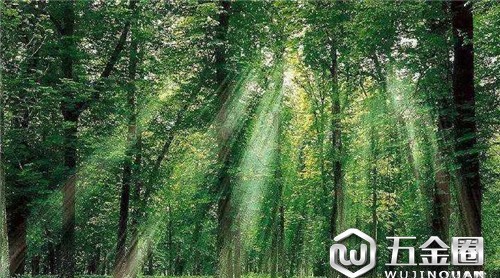 木业|森林法修改：下放采伐限额审批权