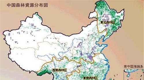 未来我国木材进口供给特点预测