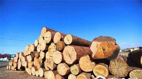 俄罗斯：禁止对华出口木材是不切实际的