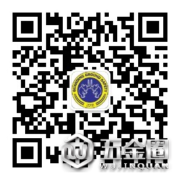 中国建材网