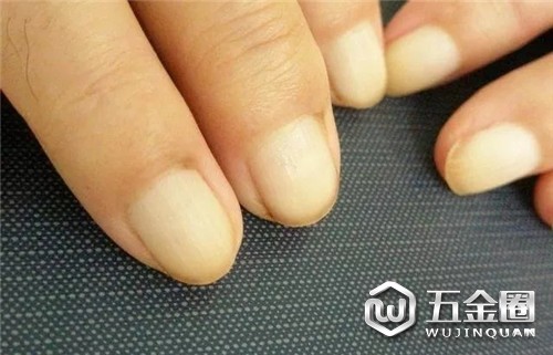 环球五金圈