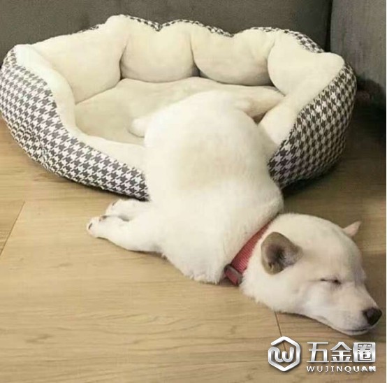 中国建材网