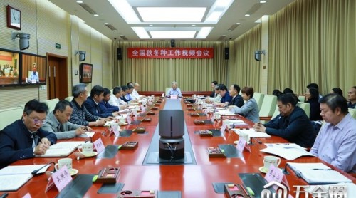 农业农村部部署全国秋冬种工作 力争冬小麦面积稳定在3.3亿亩以上